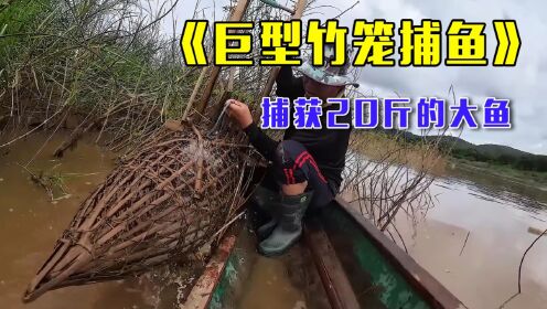 老渔民用巨型笼子抓鱼,捕获20斤重的白须公鱼,太厉害了_高清1080P在线观看平台_腾讯视频