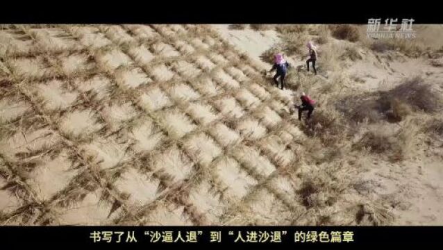 夏收见闻:当我们“翻阅”土地