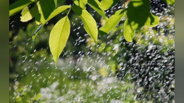 四川多地风雨雷电预警中:邻水县发布暴雨红色预警