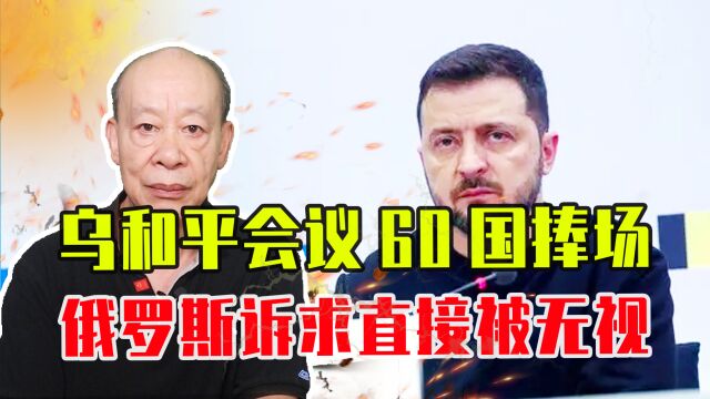 乌和平会议60国捧场,泽连斯基硬推10点,俄罗斯诉求直接被无视