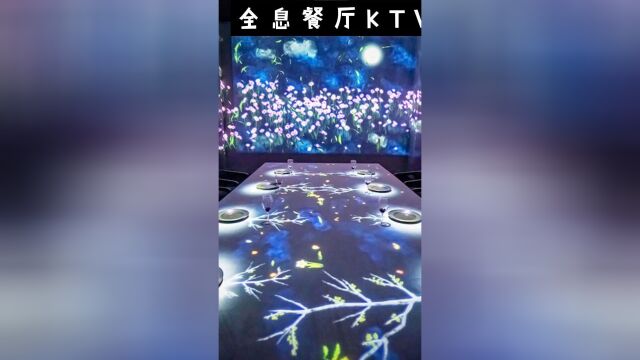 全息KTV餐厅