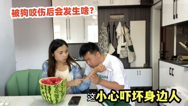 被狗咬伤后会发生啥?千万不要当作没事发生,小心吓坏身边人