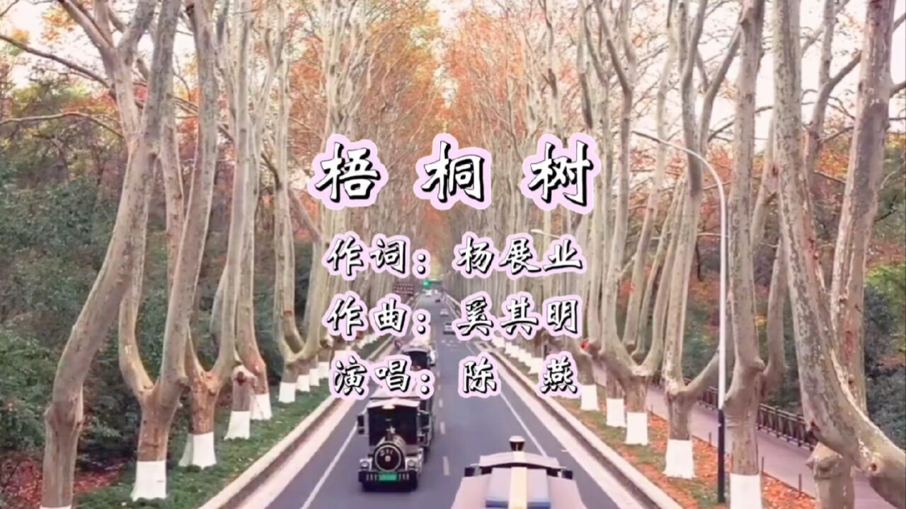 梧桐树 作词:杨展业 作曲:奚其明 演唱:陈燕
