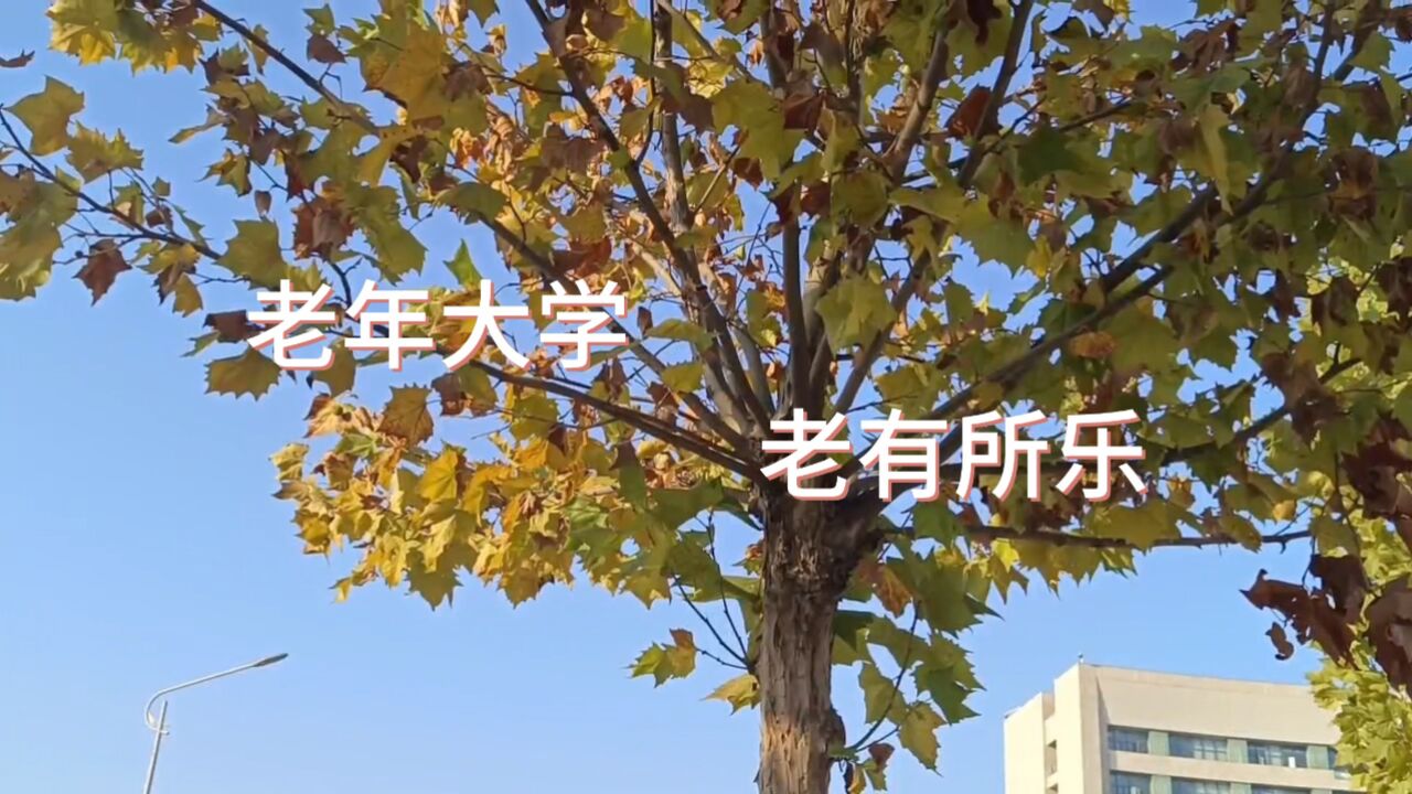11月2日_高清10