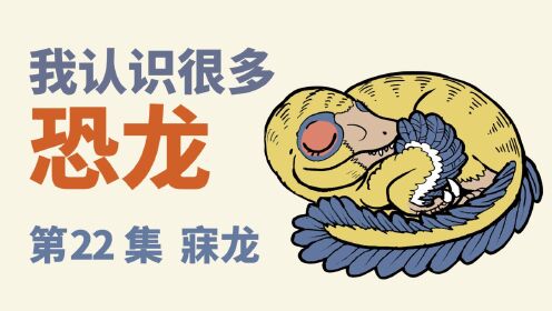 第22集寐龙_少儿_动画片大全_腾讯视频
