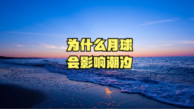 为什么月球会影响潮汐?了解地球与月球的引力关系如何影响潮汐