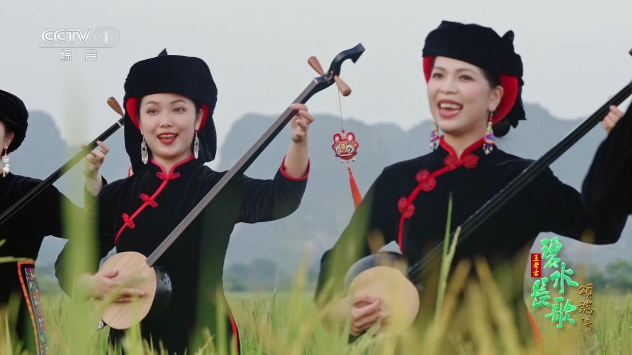 天琴弹唱《月光情缘》表演:广西艺术学院天琴乐队