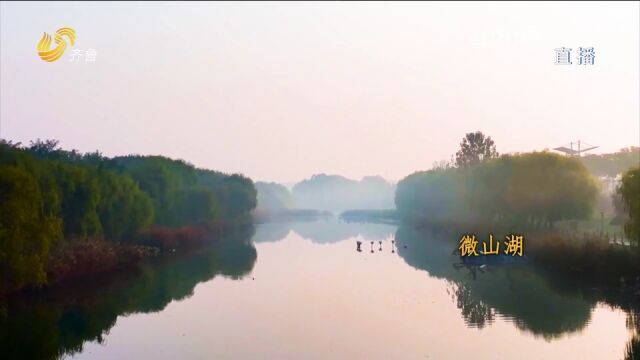 美景如画!实拍秋日微山湖,晨光微露薄雾渐散,水天相融交映成辉