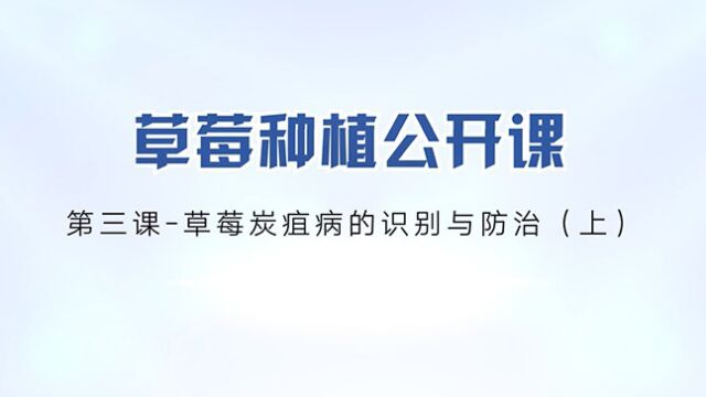 草莓种植公开课第三课:草莓炭疽病的识别及防治(上)