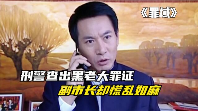 《罪域》刑警查出黑老大的罪证,不料副市长却慌乱如麻