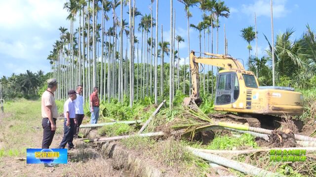 长坡:扎实推进“非粮化”整治 稳住粮食播种面积 保障粮食增产增收