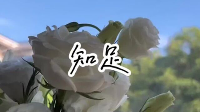 经典伤感歌曲《知足》年少听的是旋律,如今听的是歌词