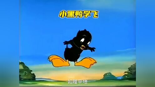 一只幻想学会飞翔的小黑鸭，最后终于实现了他的飞天梦。搞笑动画童年动画怀旧动画.