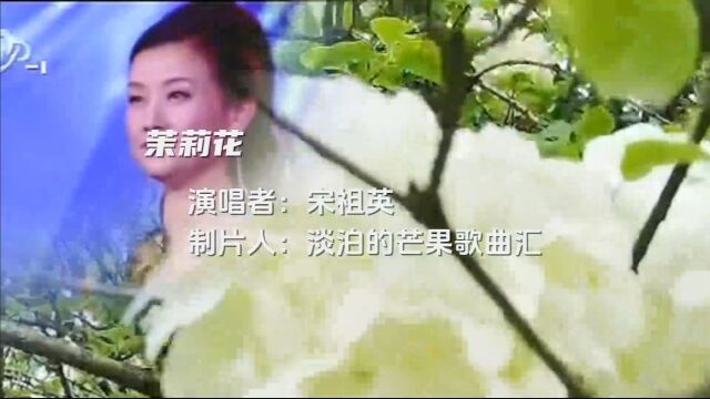 宋祖英演唱《茉莉花》,歌声优美动听醉人心扉