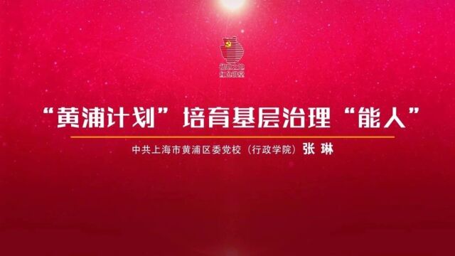 “学思践悟新思想 奋勇争先建新功”黄浦进行时系列微党课⑦