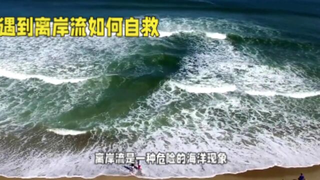 什么是离岸流 遇到离岸流会怎样一条视频为你解答