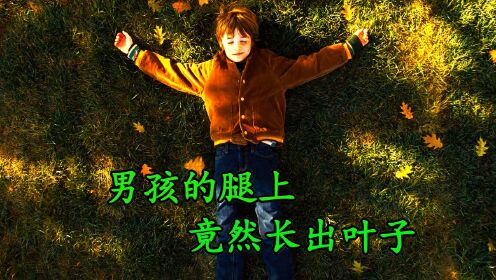 《男孩小莫2/3集》腿上长树叶的小男孩