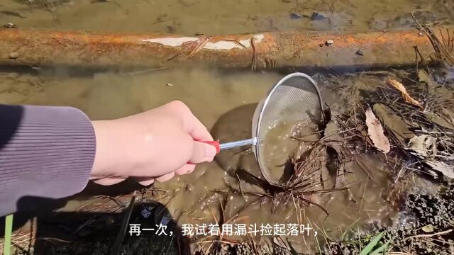 救助水生生物