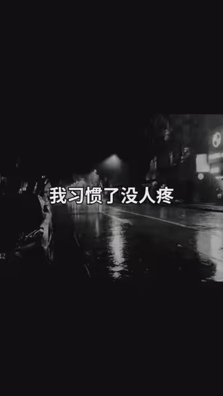 我习惯了没人疼,习惯了没人爱,没人关心的日子,累了自己扛,痛了自己揉