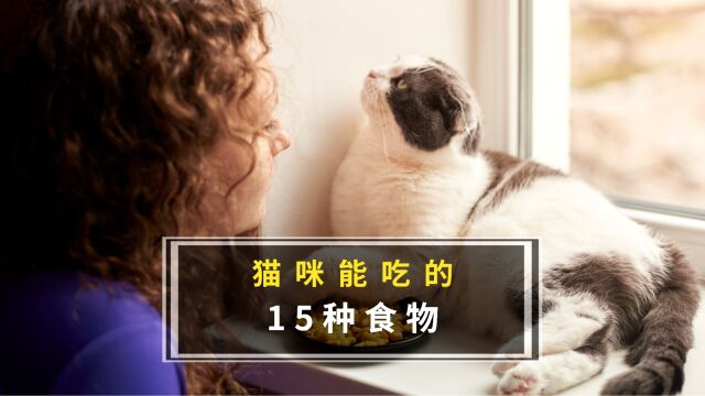 这些人类食物猫咪都能吃,赶紧给它安排上!