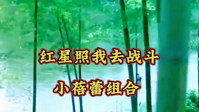 小蓓蕾组合演唱《红星照我去战斗》小小竹排江中游巍巍青山两岸走