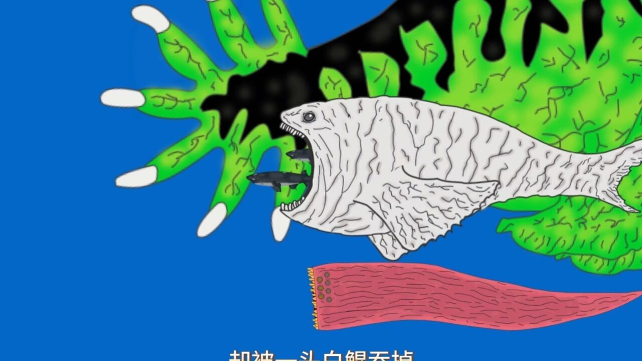 新酱鲲和邓氏鱼一起捕猎却被一头白鲲吞掉 #原创动画 #巨鲲 #远古生物