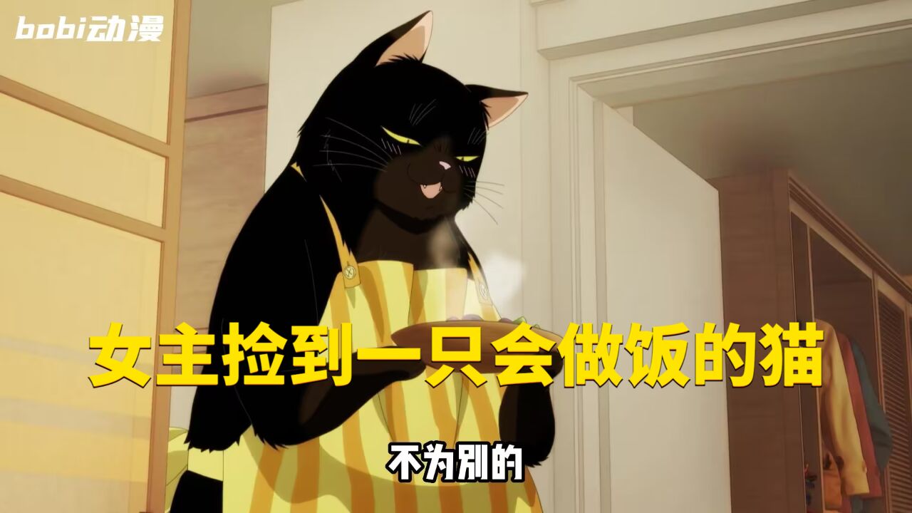 七月新番,女主捡到了一只会做饭的猫,简直要成精_高清1080P在线观看平台_腾讯视频