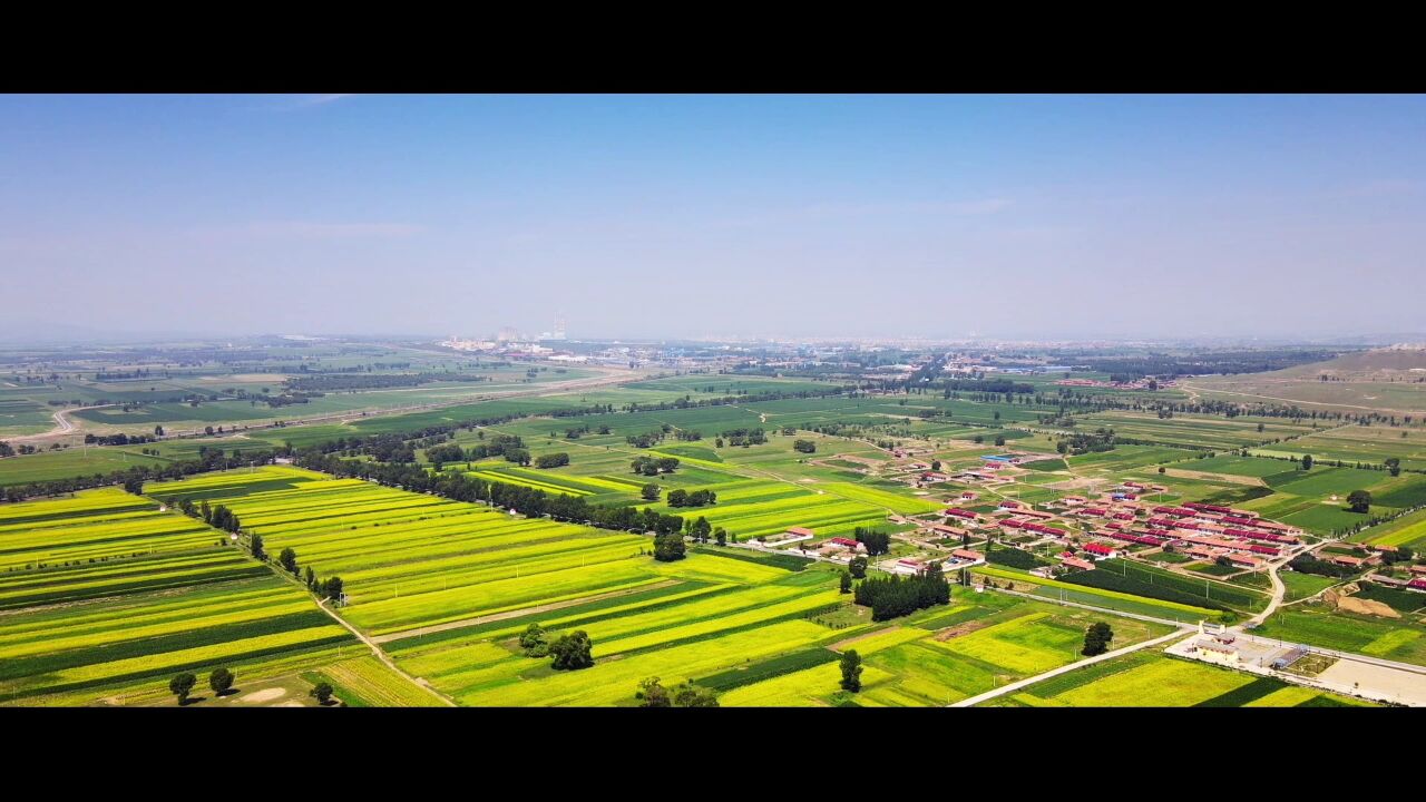 新荣区李玮图片