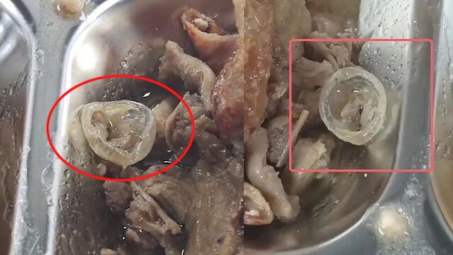 广州通报职校食堂吃出异物:涉事食堂关闭,样品移交第三方检测