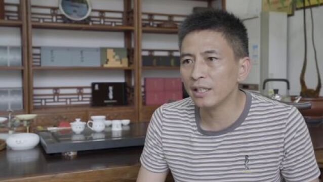 “看中国ⷮŠ福建行” | 影片展映(七):《安溪一叶》