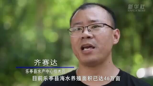 河北乐亭:特色海产品养殖拓宽增收路