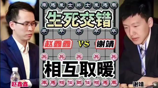 赵鑫鑫vs谢靖 双方都在生死边缘徘徊 互相喂饭 很有意思#象棋 #象棋 #象棋高手 #象棋布局 #象棋绝杀 #象棋互动