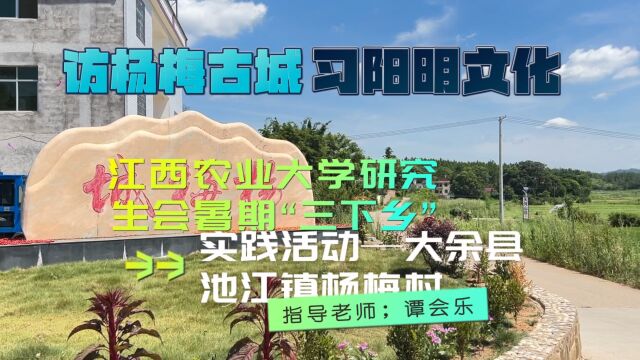 江西农业大学研究生暑期“三下乡”社会实践活动之杨梅村