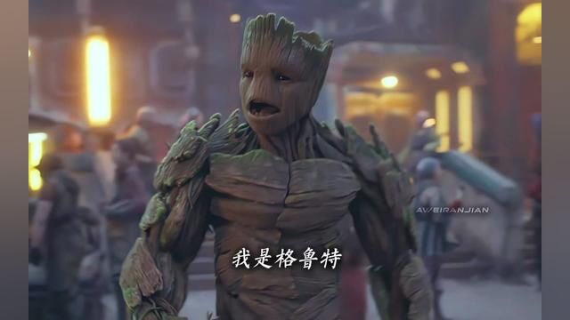 am Groot!(我是格鲁特)