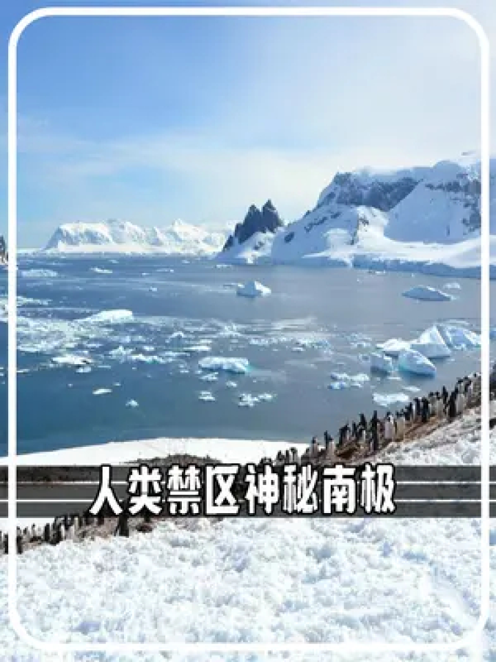 南极为什么被称为人类禁区?隐瞒了什么秘密?为什么飞机禁飞? #南极洲