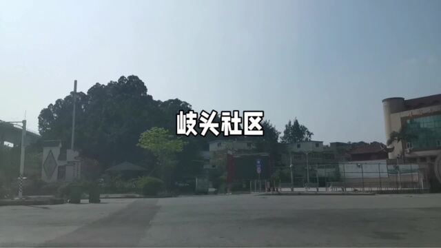 长乐营前街道岐头社区