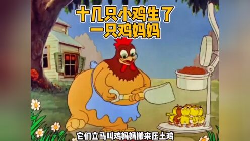 十几只小鸡生了一只鸡妈妈__高清完整版视频在线观看_腾讯视频