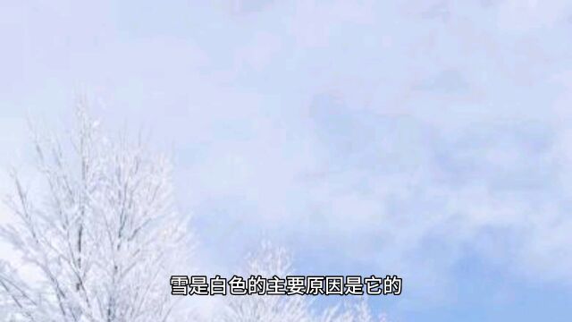 雪为什么是白色的?