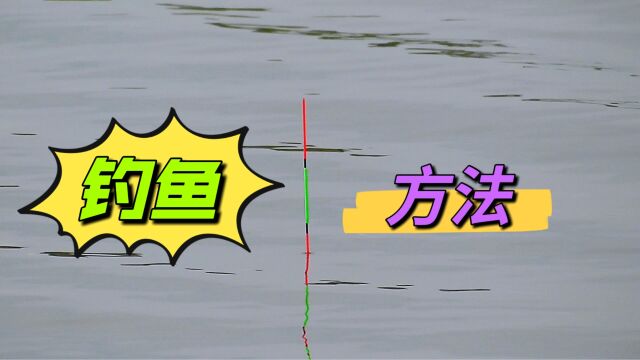 鸭饲料钓鱼,真的有用吗?这里有正确使用方法