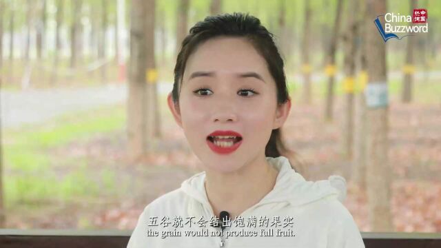 中国热词:大暑里的酷热与关爱