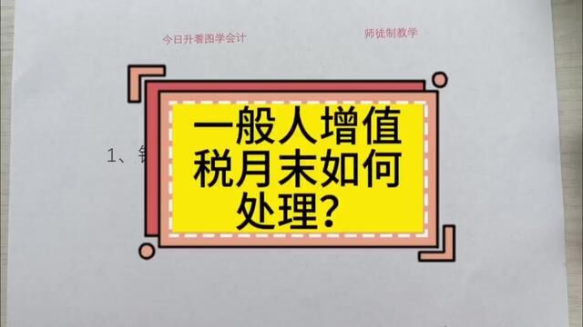 #零基础学会计 #增值税 #会计实操 一般人增值税月末如何处理?