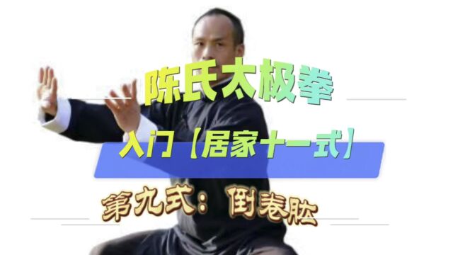 陈式太极拳入门《居家十一式》第九式:倒卷肱#永州豫正太极文化院#陈正雷太极唐勇#永州市委党校太极培训