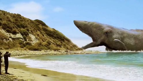 梅氏利维坦鲸到底有多凶？以巨齿鲨为食，万军从中取上将首级！ 海洋动物  远古生物  史前巨兽  梅氏利维坦鲸 
