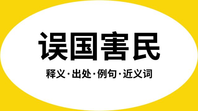 “误国害民”是什么意思?