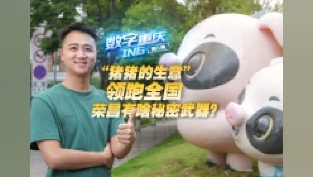 数字重庆ING │“猪猪的生意”领跑全国,荣昌有啥秘密武器?