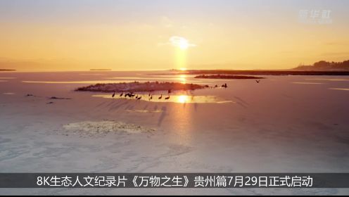 纪录片《万物之生》聚焦贵州展现生态文明建设成果