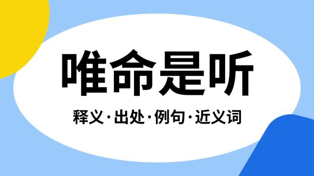 “唯命是听”是什么意思?