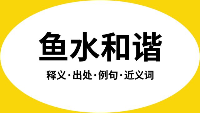 “鱼水和谐”是什么意思?