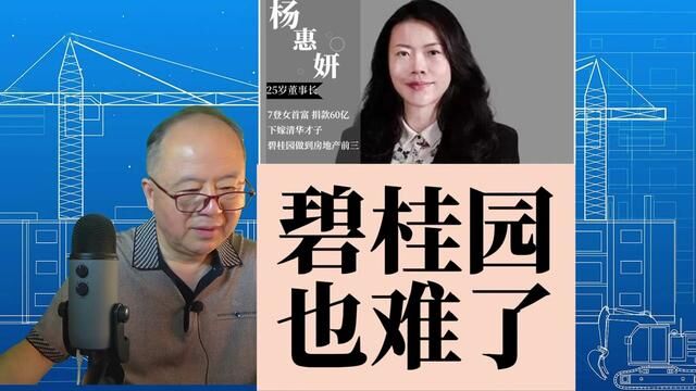 拥有1.7万亿总资产的碧桂园,CEO杨惠妍怎么也突然难起来了? #碧桂园 #杨惠妍 #负债