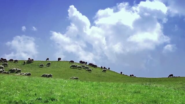 千百惠经典歌曲《他的名字叫回忆》深情又好听,温暖了几代人